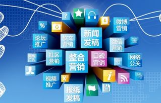 借助互聯(lián)網(wǎng)營銷策略推動品牌效應(yīng)與銷售增長